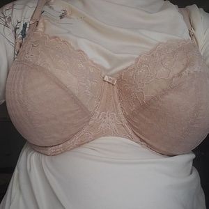 Panache envy bra in nude